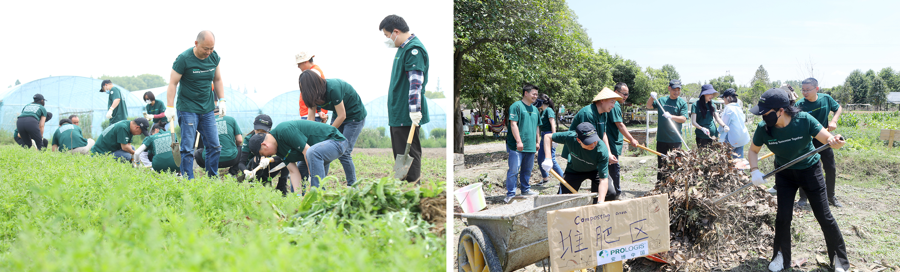 IMPACT Day.jpg IMPACT Day